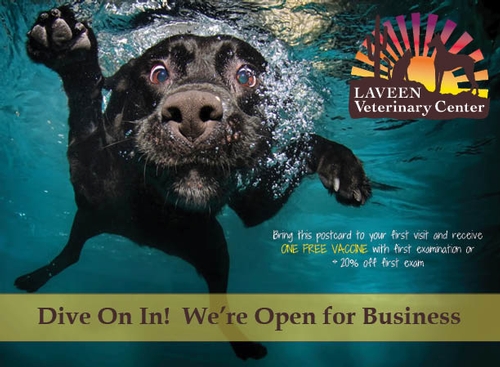 Laveen Postcard