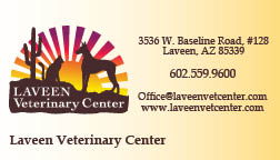 Laveen Business Card